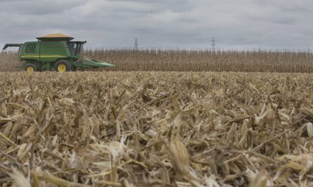 ‘American Soil’ Is Increasingly Foreign Owned